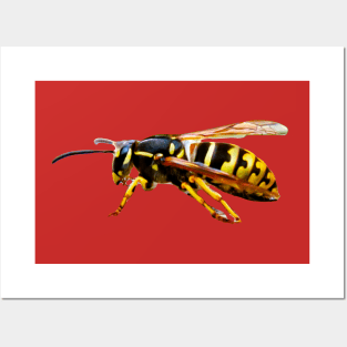 Wasp or Yellow Jacket Posters and Art